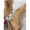 Image 11 : MONSTER Main Frame 5x5 Whitetail Antlers On Skull
