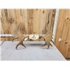 Image 5 : 53" Wide Moose Antlers On Skull Plate