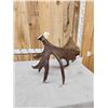 Image 5 : BIG 16.6 Self Standing Alaskan Moose Antler Paddle