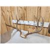Image 5 : 3 Sets Of Mule Deer Antlers On Skull Plate