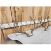 Image 6 : 3 Sets Of Mule Deer Antlers On Skull Plate