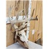 Image 3 : Crazy Nontypical Whitetail Antlers On Skull