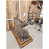Image 7 : 4x5 Mule Deer Full Body Taxidermy Mount