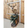 Image 2 : Main Frame 4x5 Unicorn Whitetail Pedestal Taxidermy Mount