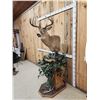 Image 3 : Main Frame 4x5 Unicorn Whitetail Pedestal Taxidermy Mount