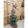 Image 4 : Main Frame 4x5 Unicorn Whitetail Pedestal Taxidermy Mount