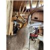 Image 6 : Main Frame 5x5 Whitetail Shoulder Mount Taxidermy