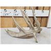 Image 5 : 104 2/8" Self Displaying Whitetail Shed Antler