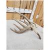 Image 6 : 100 5/8" Double Droptine Texas Whitetail Shed Antler