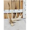 Image 1 : 94 1/8" Gross Whitetail Shed Antler