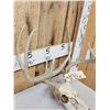 Image 5 : Main Frame 5x5 Whitetail Antlers On Skull