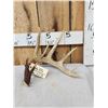 Image 1 : 83" Wild Whitetail Shed Antler
