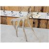 Image 4 : 87 5/8" Wild Kansas Whitetail Shed Antler