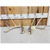 Image 1 : Nice Set Of 4x5 Wild Whitetail Shed Antlers