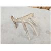 Image 4 : 81 6/8" Kansas Whitetail Shed Antler