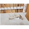Image 2 : 77 5/8" Wild Whitetail Shed Antler
