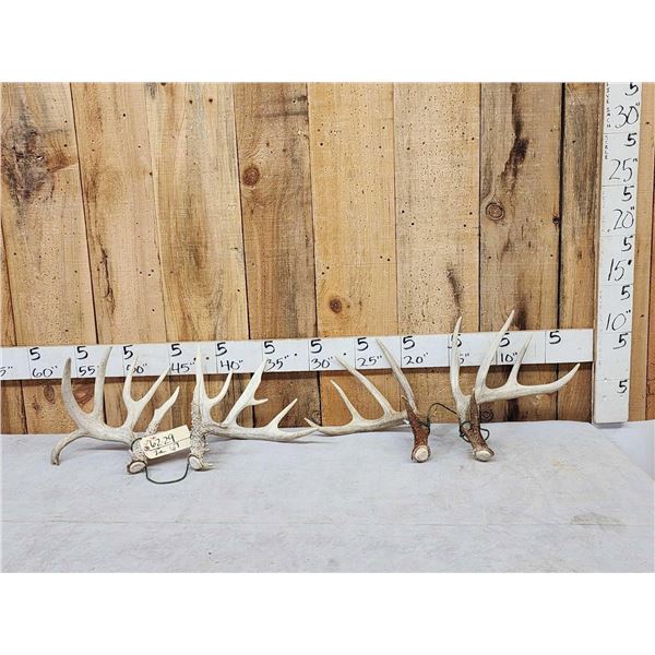 2 Sets Of Whitetail Shed Antlers