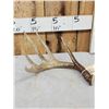 Image 2 : Wild 5 Point Whitetail Shed Antler