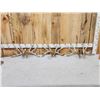 Image 1 : 3 Sets Of Whitetail Shed Antlers