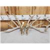Image 4 : 3 Sets Of Whitetail Shed Antlers
