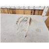 Image 5 : 87 4/8" Wild Whitetail Shed Antler