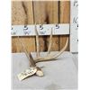 Image 1 : 77 6/8" Wild Whitetail Shed Antler