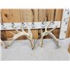 Image 2 : 3 Sets Of Whitetail Shed Antlers