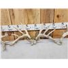 Image 5 : 3 Sets Of Whitetail Shed Antlers