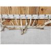 Image 6 : 3 Sets Of Whitetail Shed Antlers