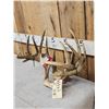 Image 2 : 2 Sets Of Whitetail Antlers On Skull Plate