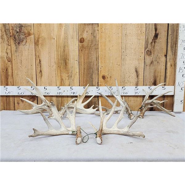 3 Big Sets Of Whitetail Shed Antlers
