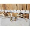 Image 6 : 3 Big Sets Of Whitetail Shed Antlers