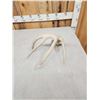 Image 4 : 83 2/8" Wild Whitetail Shed Antler
