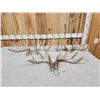 Image 1 : 3 Sets Of Whitetail Shed Antlers