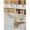 Image 2 : 80 4/8" Wild Whitetail Shed Antler