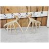 Image 4 : Set Of 6x6 Wild Whitetail Shed Antlers