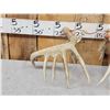 Image 6 : Set Of 6x6 Wild Whitetail Shed Antlers