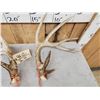 Image 5 : Set Of 5x5 Whitetail Shed Antlers