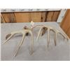 Image 6 : Set Of 5x5 Whitetail Shed Antlers