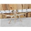 Image 5 : Set Of Main Frame 5x5 Whitetail Shed Antlers