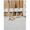 Image 1 : 77 2/8" Wild Whitetail Shed Antler