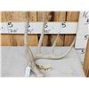Image 2 : 77 2/8" Wild Whitetail Shed Antler