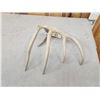 Image 4 : 77 2/8" Wild Whitetail Shed Antler