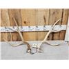 Image 1 : Big Set Of 4x4 Mule Deer Shed Antlers
