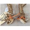 Image 5 : Set Of Wild 6x6 Whitetail Shed Antlers