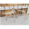 Image 7 : Set Of Wild 6x6 Whitetail Shed Antlers