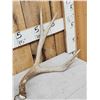 Image 2 : Set Of 5x5 Mule Deer Shed Antlers
