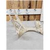 Image 2 : Heavy Mass Main Frame 5 Point Whitetail Shed Antler