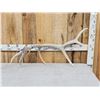 Image 1 : 5.4 Lbs Self Standing 6 point Elk Shed Antler