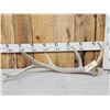 Image 1 : 5.2 Lbs Elk Shed Antler